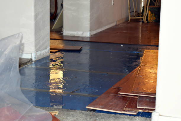 Professional Sewage Cleanup technician working in Chapman Ranch, TX